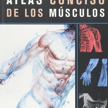 ATLAS CONCISO DE LOS MUSCULOS