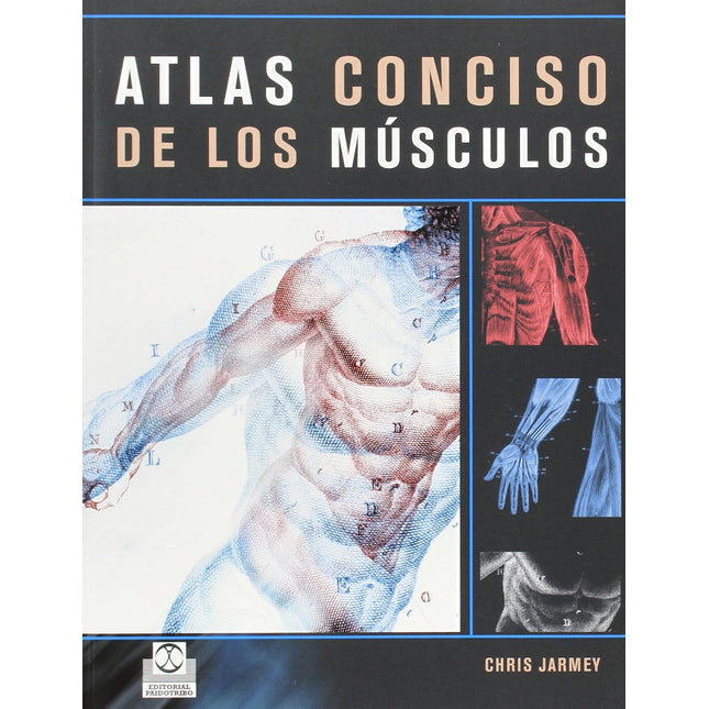 ATLAS CONCISO DE LOS MUSCULOS