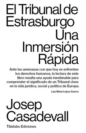 EL TRIBUNAL DE ESTRASBURGO: UNA INMERSION RAP IDA