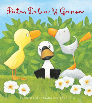 Pato, dalia y ganso