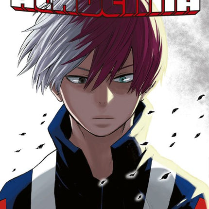 MY HERO ACADEMIA Nº 05