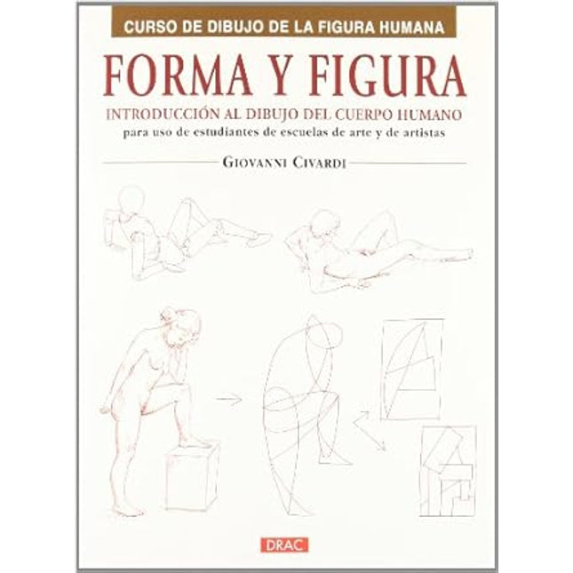 Forma y figura. Introduce. Dibujo cuerpo suma no 15