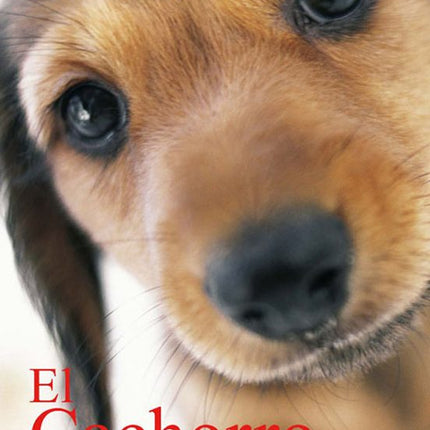 EL CACHORRO PERFECTO