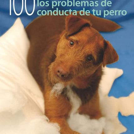 100 TRUCOS PARA RESOLVER LOS PROBLEMAS DE CON DUCTA DE TU PERRO