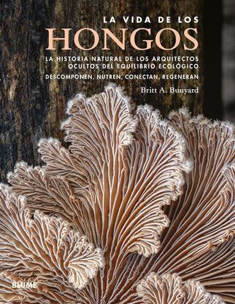 VIDA DE LOS HONGOS