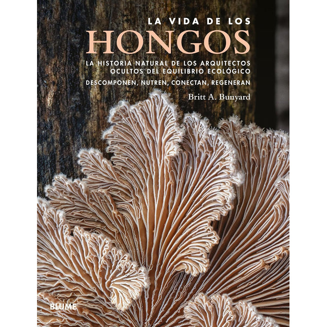 VIDA DE LOS HONGOS