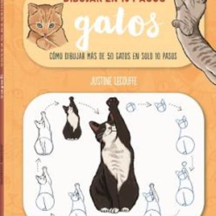 Dibujar en 10 pasos: gatos