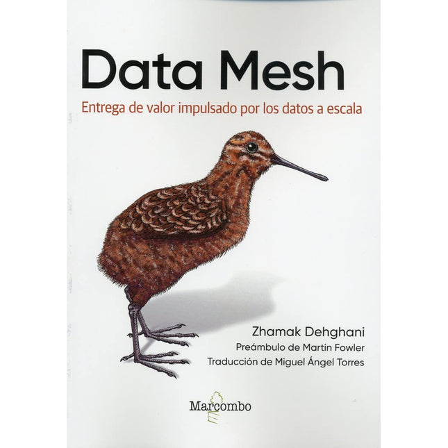 Data Mesh