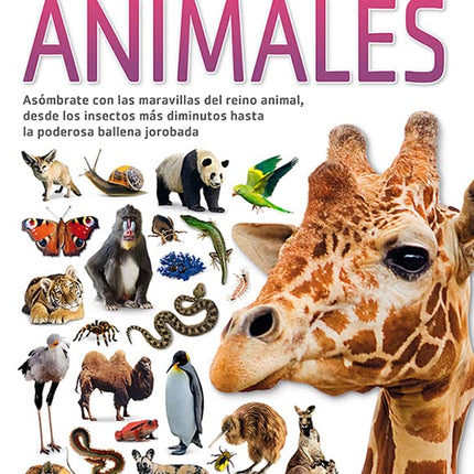 Descubre: animales