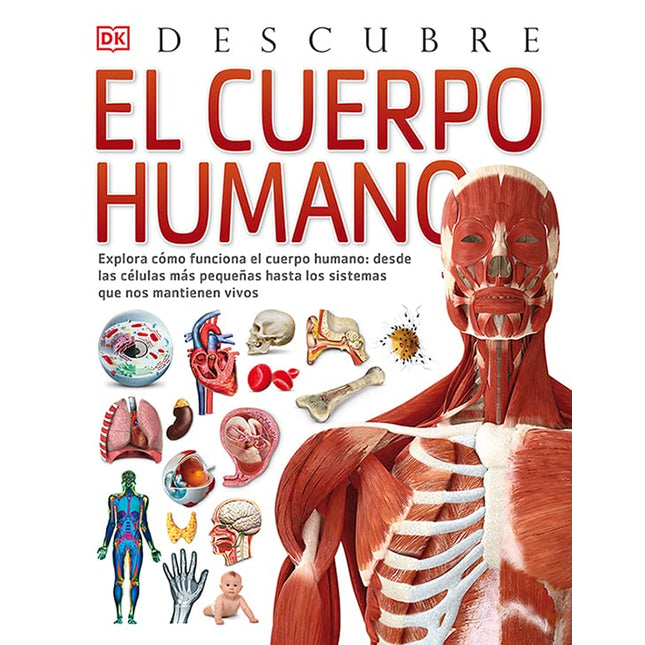 Descubre: el cuerpo humano