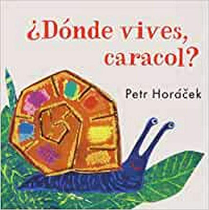 ¿Dónde vives, caracol?
