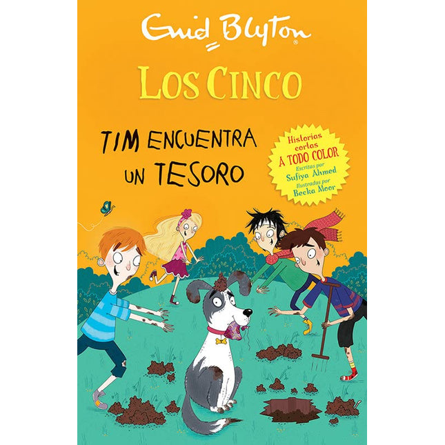 Los cinco. Tim encuentra un tesoro