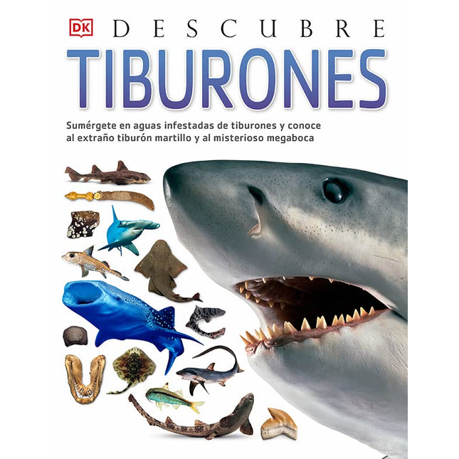 Descubre: tiburones