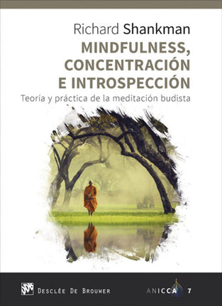 Mindfulness. Concentración e introspección