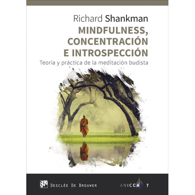 Mindfulness. Concentración e introspección