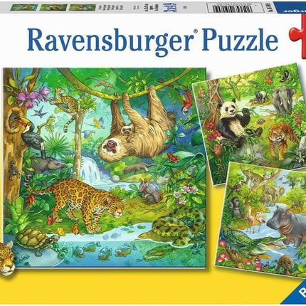 Rompecabezas 3x49pz diversión en la jungla