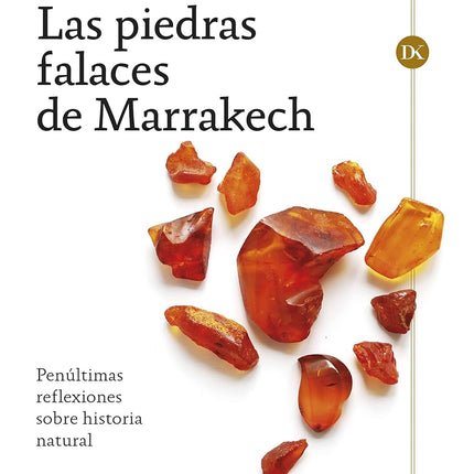 Las piedras falaces de Marrakech