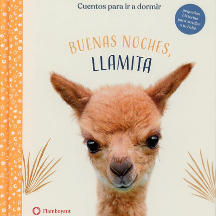 Buenas noches, elamita