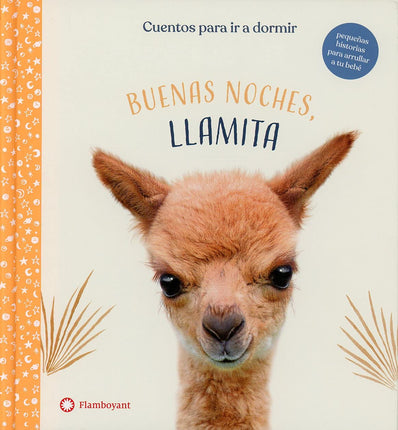 Buenas noches, elamita