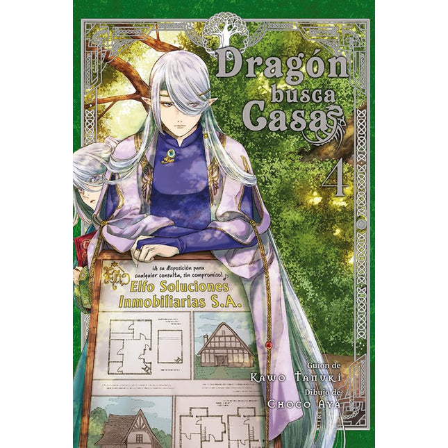 Dragón busca casa 4