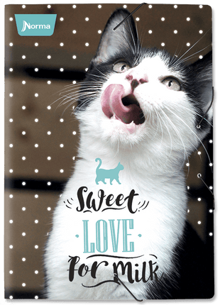 Carpeta. Escolar (dos) x20