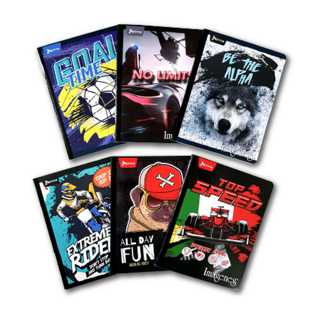 Cuaderno. Grapado cudriculado 100h peq x132