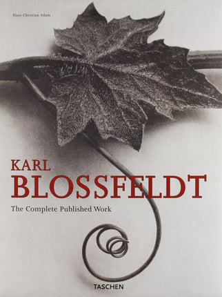 (25 Yrs) Karl blossfeldt