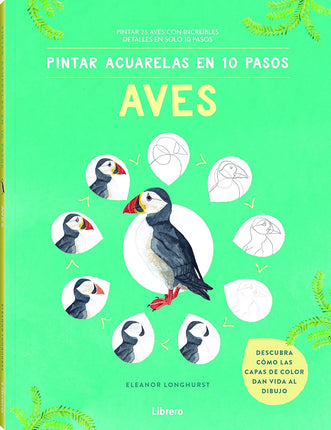 Pintar acuarelas 10 pasos: aves