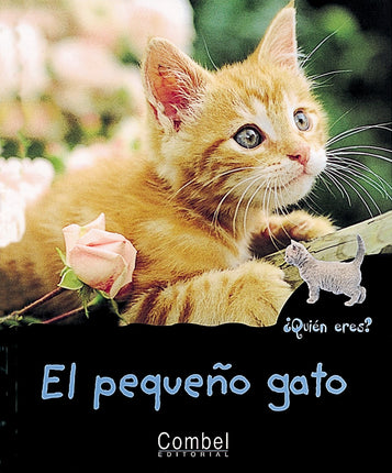 El pequeño gato