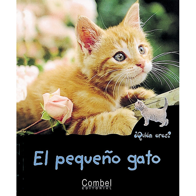 El pequeño gato