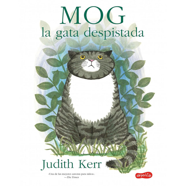 Mol, la gata despistada