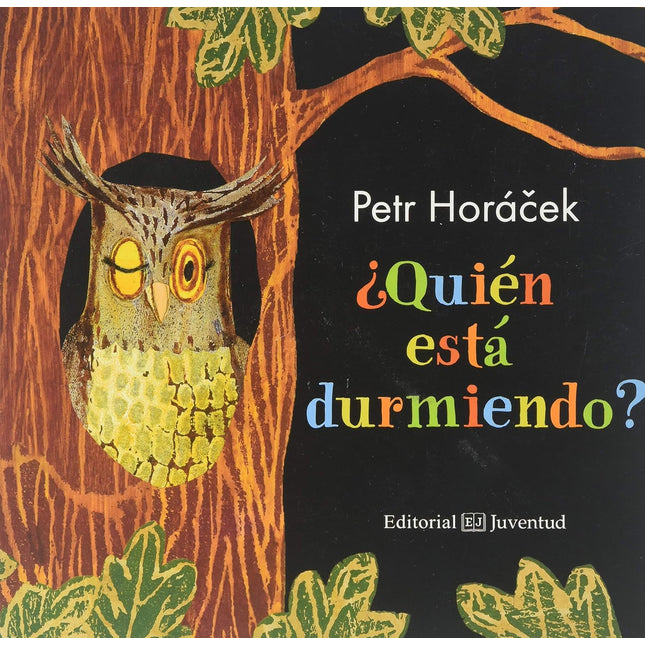 ¿Quién está durmiendo?