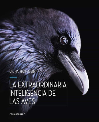 La extraordinaria inteligencia de las aves