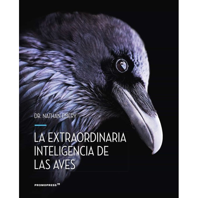 La extraordinaria inteligencia de las aves