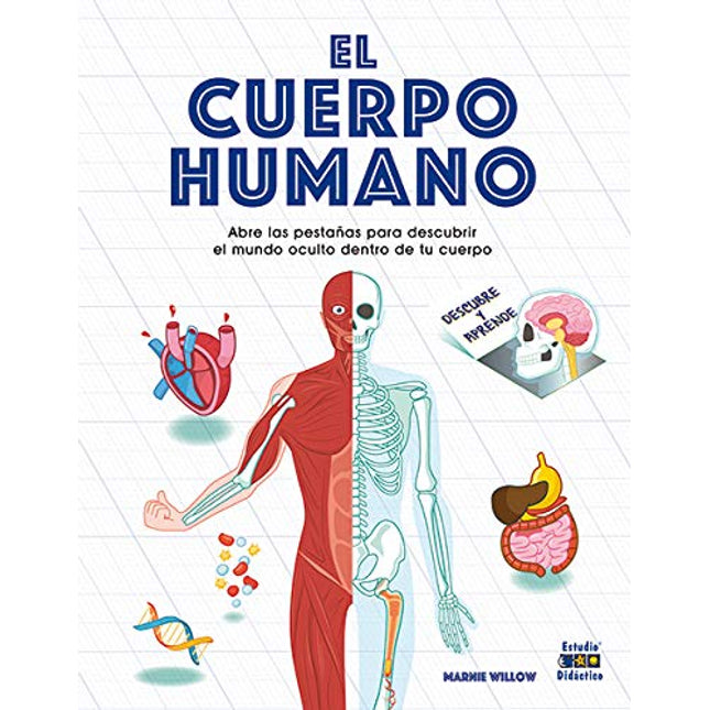 Descubre y aprende: el cuerpo humano